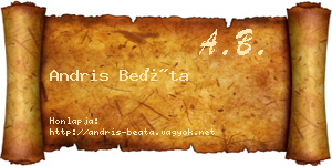 Andris Beáta névjegykártya