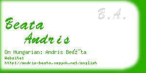 beata andris business card